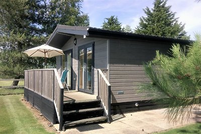 Ruime cottage met sauna