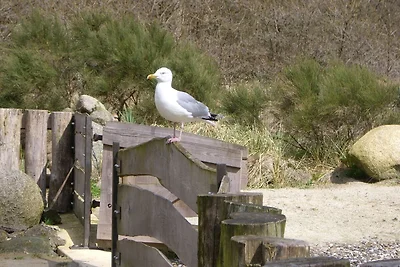 Gemuetliche Ferienwohnung am Meer in...