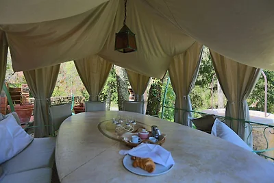 Ferienhaus in Sassetta mit Garten