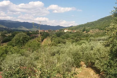 Casa vacanze rustica a Castigli sul Fiorentin...
