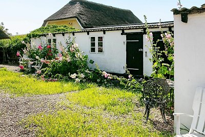 4 Personen Ferienhaus in Bagenkop