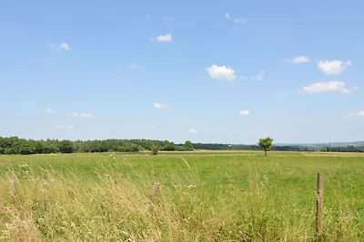 Ferienhaus in Somme-Leuze mit Sauna & Garten