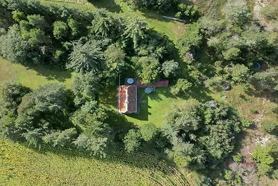 5 Sterne Ferienhaus in Ålbæk