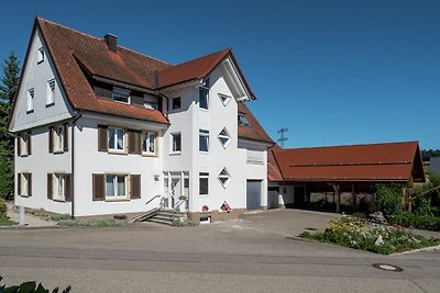 Mooi appartement in het Zwarte Woud