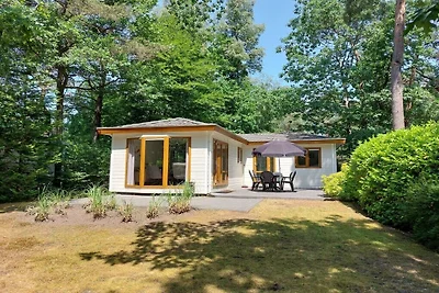 Ferienhaus in Beekbergen mit Terrasse