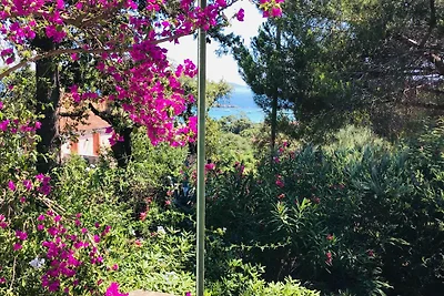 Gemütliches Ferienhaus mit Meerblick