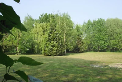 Komfortable Wohnung mit Pool
