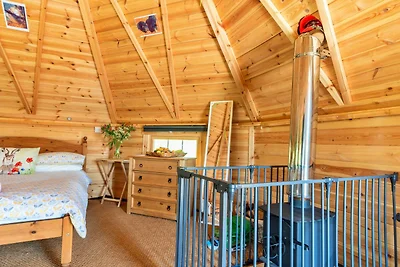 Milieuvriendelijk chalet in Okehampton, Geen...