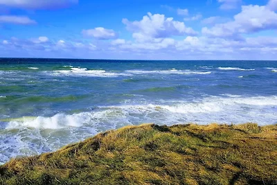 6 Personen Ferienhaus in Vejby-By Traum