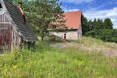 Felsenbirne im Heidezauber
