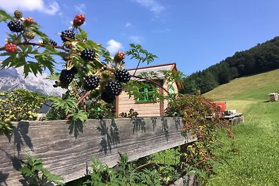Ferienwohnung mit 2 Schlafzimmer