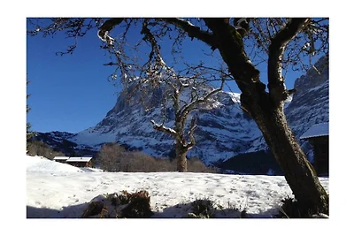 Garbani a Grindelwald