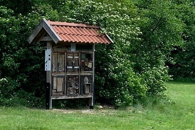 Oldau's Nestchen 2 Komfortable Ferienresidenz