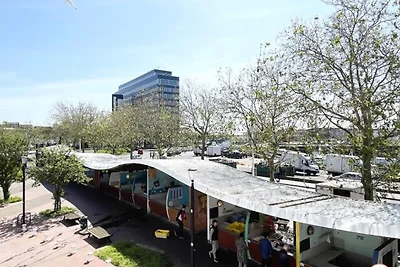 Der Reeder-Comfort-Standing-Markt