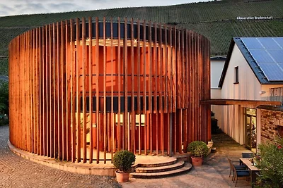 Pinot Noir im Weingut Regnery