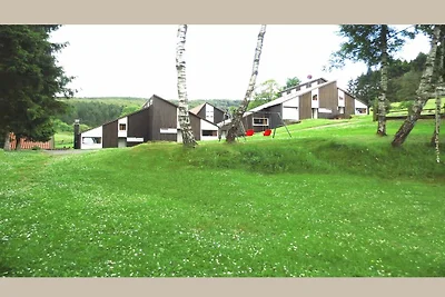 Charmantes Ferienhaus in Skigebietsnähe