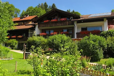 Sina im Haus Irmgard