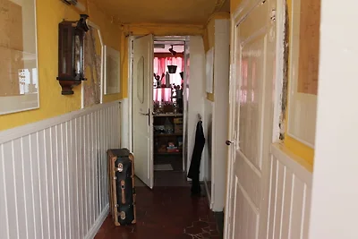 Appartement met tuin in Damgarten