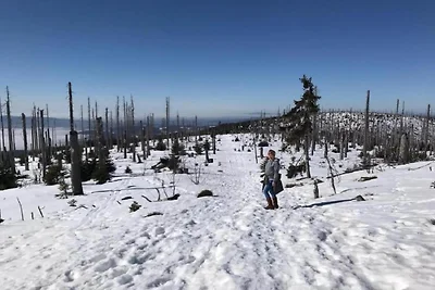 Studio Bernhard mit Pool und Sauna