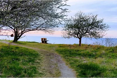 4 persoons vakantie huis in Grevinge-By Traum