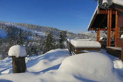 Naturhytte mit Gästehaus