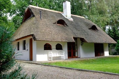 Geräumiges Ferienhaus mit Reetdach in Uelsen