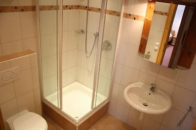 Geräumige Ferienwohnung mit Sauna in Großarl