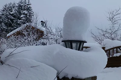 Gemütliche Ferienwohnung in Altenau mit...