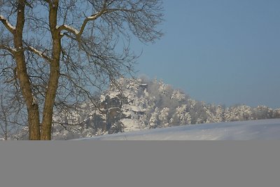 Ferienhaus in Sachsen mit Garten