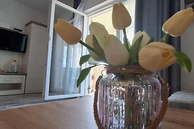 Belisima Delux - One Bedroom Apartment With S...