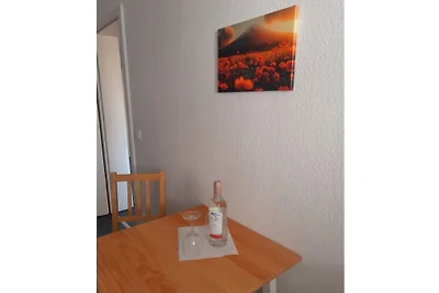 Ferienwohnung in Pirna mit Schwimmbecken