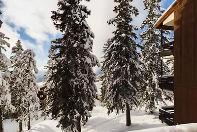 Monolocale per 4 persone