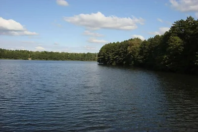 Am Pagelsee im Müritz-Nationalpark