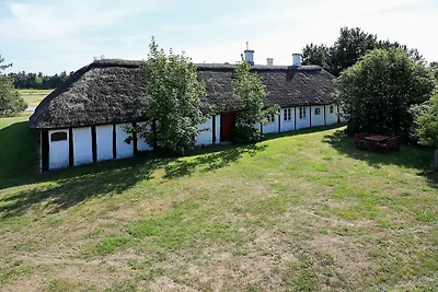 12 persoons vakantie huis in Læsø-By Traum