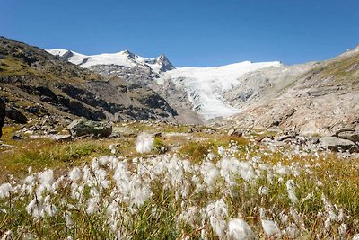 Appartamento alpino superiore