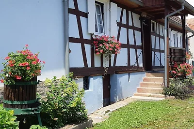 Gezellig vakantiehuis in Schleithal met tuin