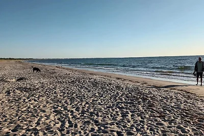 5 Sterne Ferienhaus in Væggerløse
