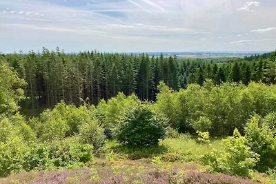 6 Personen Ferienhaus in Brovst-By Traum