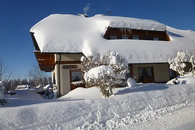 Vakantiewoning met balkon in Zwarte Woud