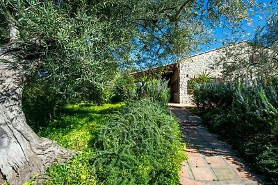 Holiday home Villetta Rosamarina
