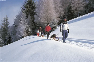Apartment in Kirchdorf am Wilden Kaiser