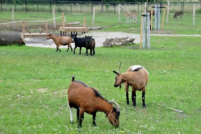 Casa a graticcio con lavastoviglie