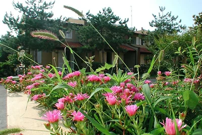 Ferienhaus mit Pool