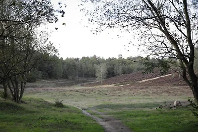Haustiere willkommen, Veluwe-Bauernhöfe für...