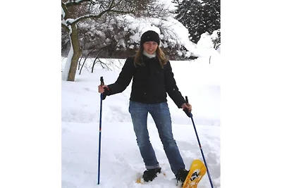 Alpenstern Finy  (xl)