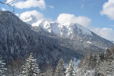 Gemütliches Chalet in Châtel, Schweizer...