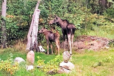 5 persoons vakantie huis in DJURHAMN-By Traum