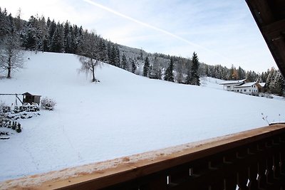 Ruime villa bij het skigebied in Salzburg