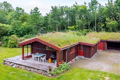 6 persoons vakantie huis in Roslev-By Traum