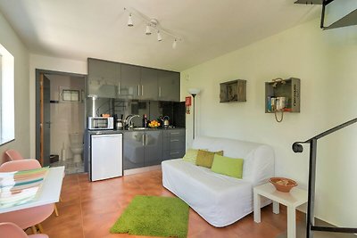 Holiday home in Penafiel with pool and lush g...